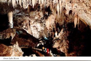 New Mexico Carlsbad Caverns National Park Green Lake Room