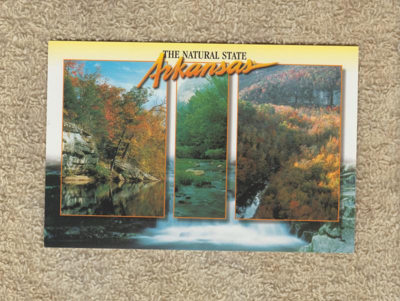 Postcard ARKANSAS The Natural State Buffalo River Unused