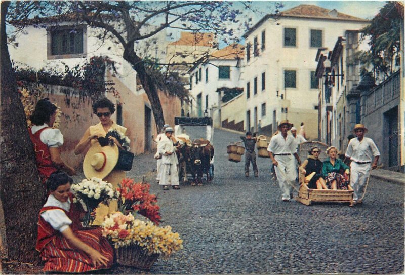 Portugal Postcard Madeira native people flower sellers running cart bull cart