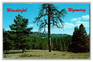 1977 Wonderful Wyoming Sherman Mountains Vintage Standard View Postcard