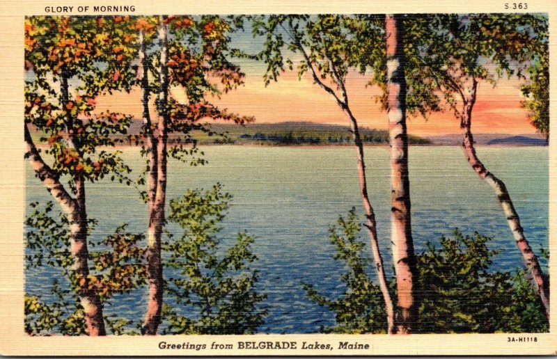 Maine Greetings From Belgrade Lakes 1944 Curteich