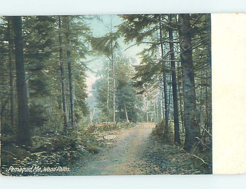 Divided-back PATH IN THE WOODS Pemaquid Point Beach - Bristol Maine ME AD5074