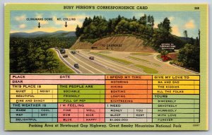 Smoky Mountains National Park Tennessee~Newfound Gap Hwy~Busy Persons PC~Linen