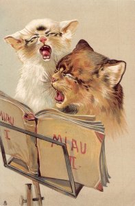 Animals Humanized Kittens Cat Singing Miau embossed postcard B922