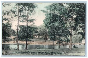 1911 Picnic Grounds Miller Park River Lake Bloomington Illinois Vintage Postcard