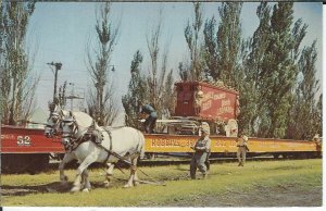BB-025 Percheron Circus Train Load Circus World Museum Baraboo 1960-70s Postcard