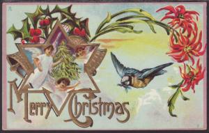 Merry Christmas,Angels,Bird,Holly Postcard
