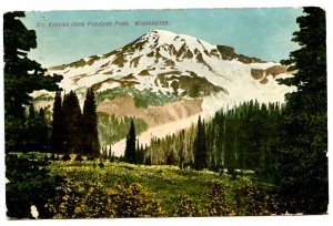 WA - Mt. Rainier from Paradise Park  (wear)