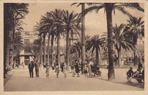France Toulon Palmiers de la Place de la Liberte