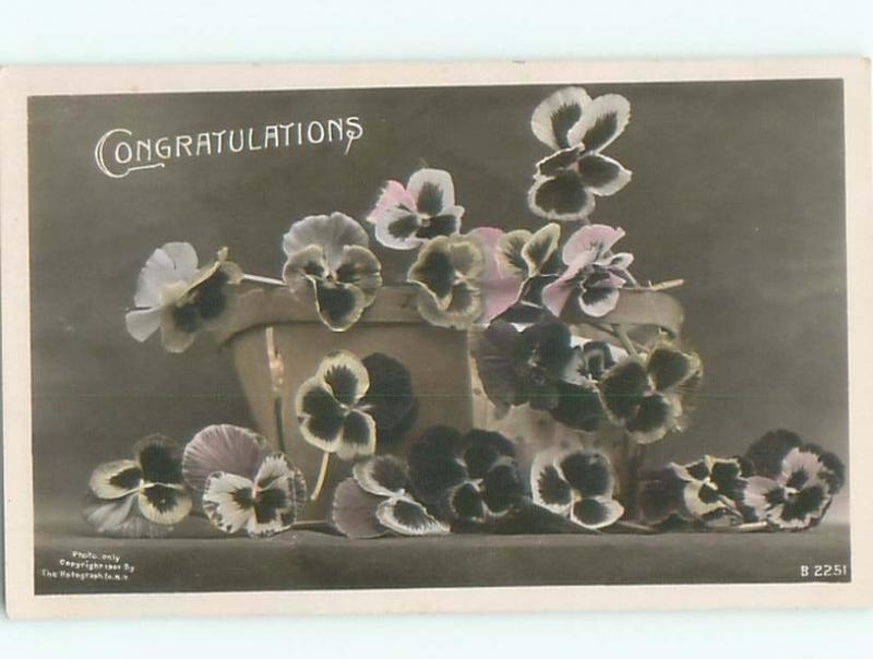 Old rppc FLOWERS SCENE Pretty Postcard AB2313