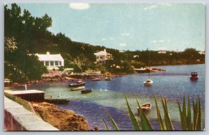 Blue Hole Hamilton Harbor Bermuda UNP Unused Chrome Postcard  K7