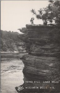 RPPC Postcard Hawk's Bill Lower Dells Wisconsin Dells WI