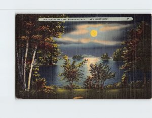 Postcard Moonlight On Lake Winnipesaukee, New Hampshire