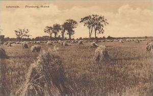 Maine Fryeburg Intervale Albertype