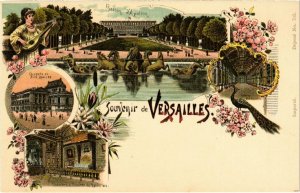 CPA AK LITHO VERSAILLES - Souvenir (987777)