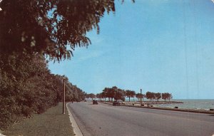 MILWAUKEE WI~LOT OF 11 POSTCARDS-PABST-JUNEAU-MITCHELL-HOSPITAL-ARENA-LAKE FRONT