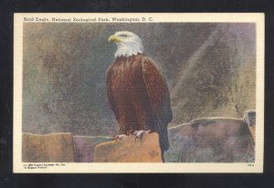 WASHINGTON D.C ZOOLOGICAL PARK BALD EAGLE BIRD VINTAGE POSTCARD