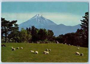 New Zealand Postcard Mt. Egmont Pasture Lands Taranaki Dear Dr. Abbot Pentothal