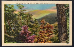 Little Bald Mountain,Great Smoky Mountains National Park