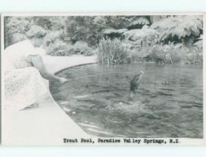 old rppc NICE VIEW Paradise Valley - Rotorua New Zealand i1831