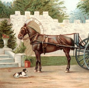 1870s-80s Victorian Trade Card Cute Dog Horse & Carriage Stone Wall 3V