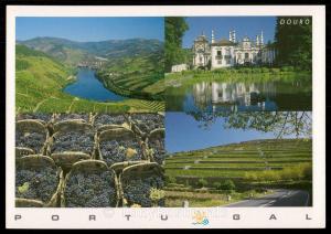 Douro - Demercated Port Wine Region