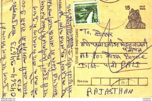 India Postal Stationery Tiger 15 to Rajasthan