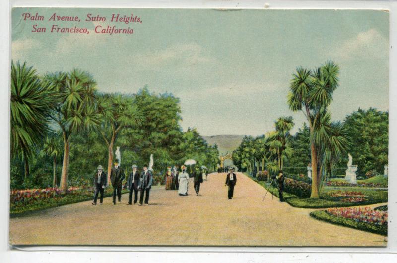 Palm Avenue Sutro Heights San Francisco California 1910 postcard