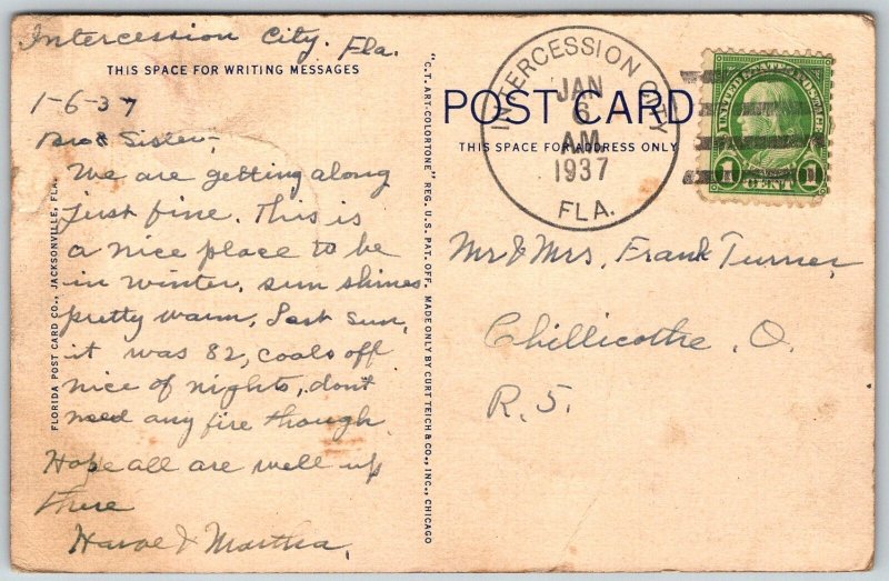 Intercession Florida 1937 Postcard Orange Tree Showing Fruit And Blossoms