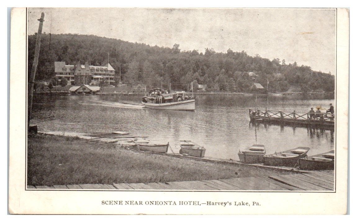 Early 1900s Scene near Oneonta Hotel Harvey's Lake PA Passenger Steamer