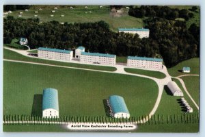 c1940's Aerial View Of Rochester Breeding Forms Rochester Minnesota MN Postcard