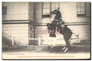 Old Postcard Horse Riding Equestrian Dressage Saumur foot jumper at liberty C...