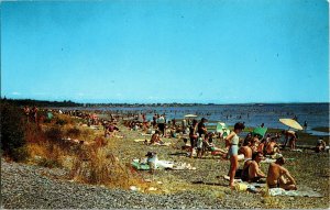 Vintage Postcard White Rock BC City of Sunshine Summer Beaches JC Walker 1960s