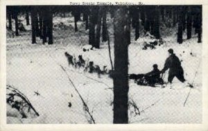 Ferry Grene Kennels - Waldoboro, Maine ME Postcard