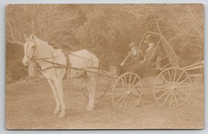 RPPC Beautiful White Horse Edwardian Woman And Son In Buggy Photo Postcard T21