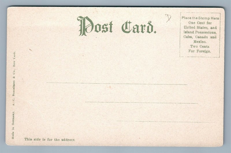 HOLLAND MI STEAMER ANTIQUE POSTCARD