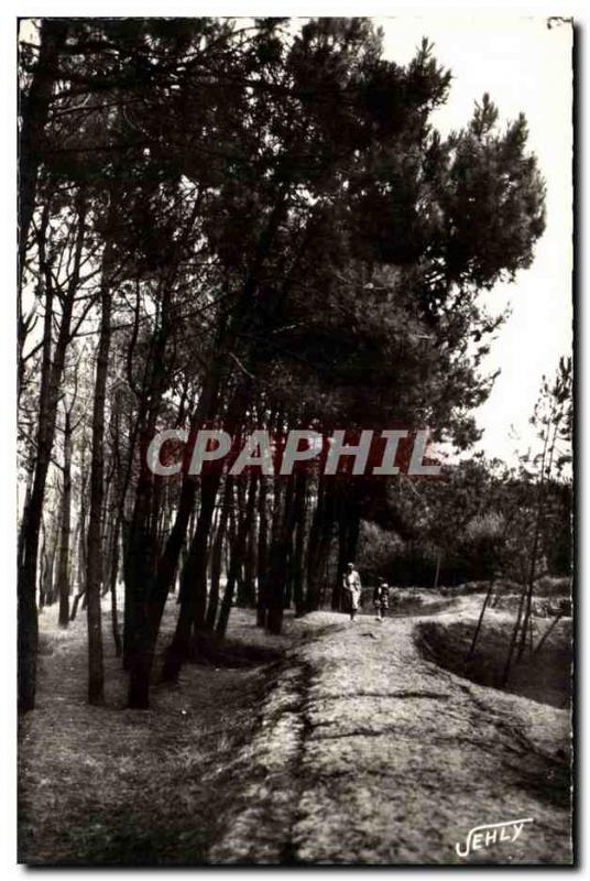 Bretignolles sur Mer - La Foret des Dunes - Old Postcard