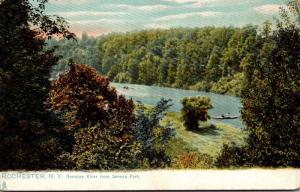 New York Rochester Genesee River From Seneca Park Tucks