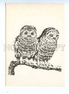 179895 owlets old postcard by Lebedev