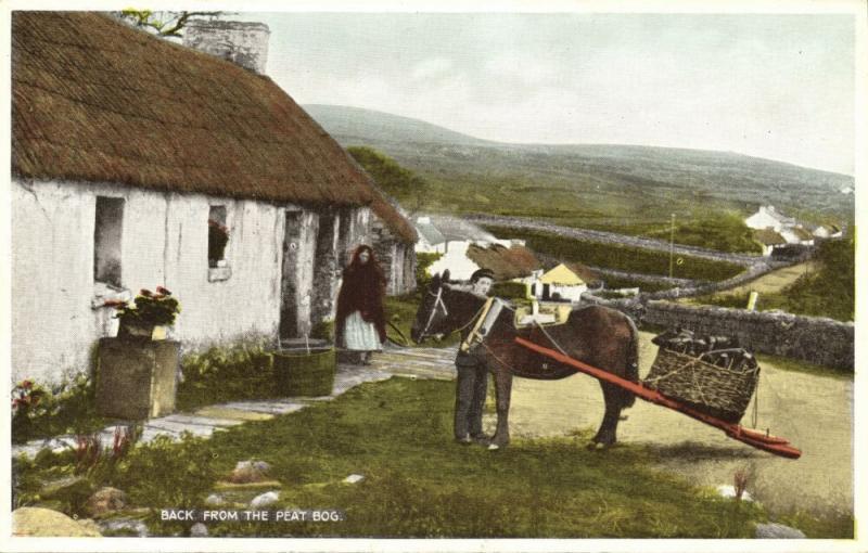 ireland, Back from the Peat Bog, Donkey Cart (1940s)