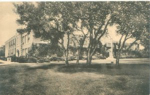 Paso Robles California High School 1957 B&W Postcard Row of Trees, Used