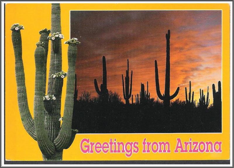 Arizona Greetings Saguaro Cactus - [AZ-081X]