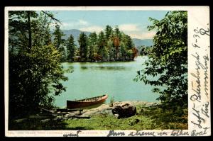 Tea Island from Caldwell Shore, Lake George, NY. Undivided back postcard. 1906
