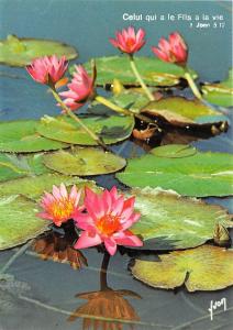 B52067 fleurs flowers nenuphar