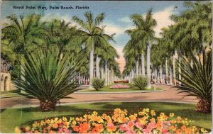 Postcard ROAD SCENE Palm Beach Florida FL AN9943