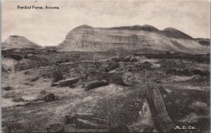 Petrified Forest Arizona Vintage Postcard C215