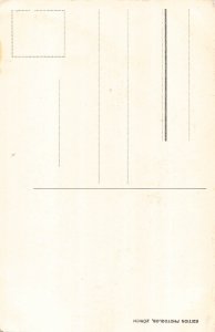 A041 Switzerland Schillerstein Rock vintage postcard