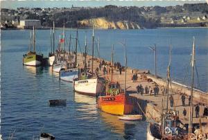 BR31194 Bateaux ship de peche dans le port Crozon Morgat l france