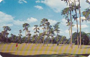 18 Hole Golf Course Winter Park Florida