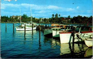 Sarasota Florida Tropical Waterfront Chrome Postcard C181